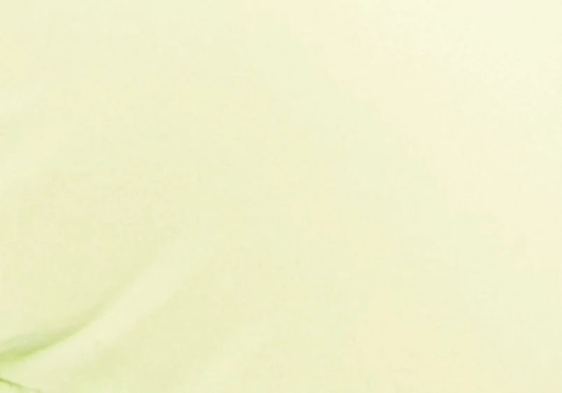 Shimmer Adjustable Cheeky Bikini Bottom 7 Shimmer Adjustable Cheeky Bikini Bottom - Image 5