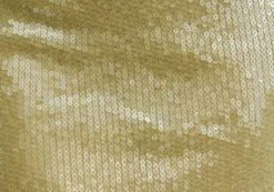 Sequin Mini Skirt -Style Fashion Fit co ken sequins mini skirt wassa bae imagefront ss141044sqn