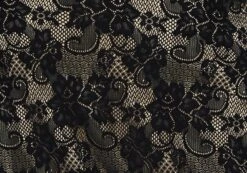 Lace Midi Slip Skirt -Style Fashion Fit co lorna lace midi skirt blacknude imagefront sl108106lac