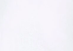 Lace Midi Slip Skirt -Style Fashion Fit co lorna lace midi skirt white imagefront sl108106lac