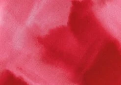 Print Maxi Slip Skirt -Style Fashion Fit co riley low rise maxi skirt carnation skies imagefront sl102757prt