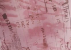 Print Mesh Lettuce Trim Cropped Cami 31 Print Mesh Lettuce Trim Cropped Cami -Style Fashion Fit co sabrina mesh cami baby doll script imagefront tv54660rprt