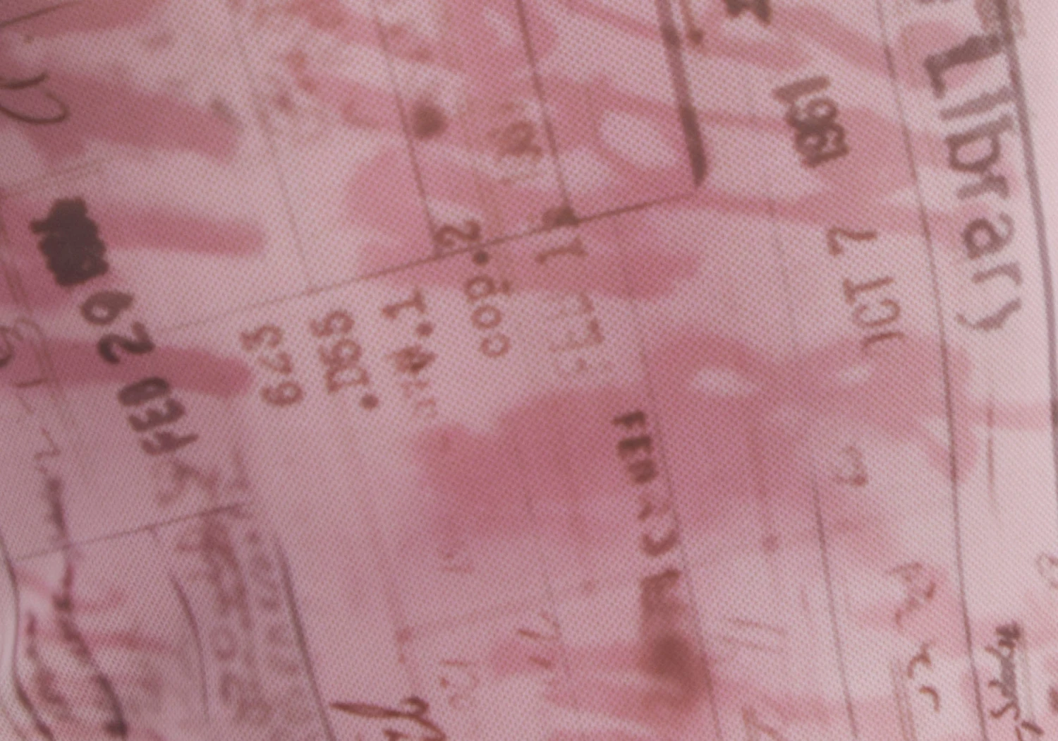 Print Mesh Lettuce Trim Cropped Cami 12 Print Mesh Lettuce Trim Cropped Cami - Image 10