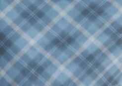 Printed Mini Mesh Dress -Style Fashion Fit delica mini mesh bubble check imagefront ds128708rchk