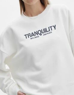 Embroidered Crew Neck Jumper -Style Fashion Fit ella crew neck jumper tranquilitymilk imageback tl88361oemb