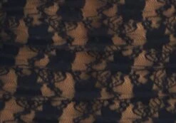 Off Shoulder Lace Long Sleeve Top -Style Fashion Fit lexi longsleeve lace top black imagefront tl116985lac