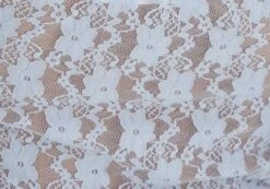 Off Shoulder Lace Long Sleeve Top -Style Fashion Fit lexi longsleeve lace top icecap imagefront tl116985lac