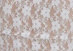 Off Shoulder Lace Long Sleeve Top -Style Fashion Fit lexi longsleeve lace top white imagefront tl116985lac