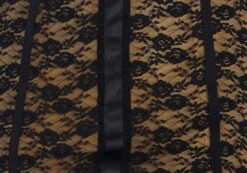 Lace Cupped Mini Dress -Style Fashion Fit maeve mesh mini dress blacknude imagefront ds92784lce