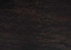 Sheer Backless Long Sleeve Crop Top -Style Fashion Fit mila underwire super crop black imagefront tl112008msh