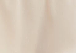 Ruffle Mini Skirt -Style Fashion Fit r cleo chiffon mini skirt peach sorbet imagefront ss123493rchi