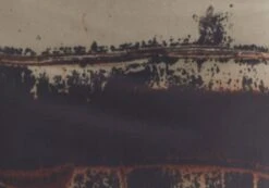 Print Mesh Maxi Skirt -Style Fashion Fit r co drey mesh maxi skirt sandy tie dye imagefront sl52001rprt