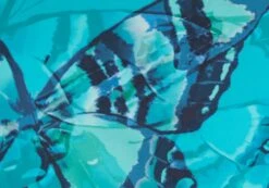 Printed Thong Bikini Bottom 26 Printed Thong Bikini Bottom -Style Fashion Fit r zimi high waist thong mystic butterflies imagefront ga63412rmsb