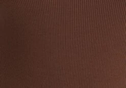 Rib High Neck Bodysuit -Style Fashion Fit raro razor ribbed bodysuit deep umber imagefront tb116787vis