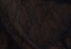 Lace Long Sleeve Button Front Top -Style Fashion Fit tali lace fitted cardigan black imagefront tc131029lac