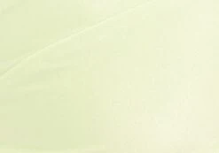 Shimmer Thong Bikini Bottom 26 Shimmer Thong Bikini Bottom -Style Fashion Fit zimi high waist thong lime splice imagefront ga63412shm